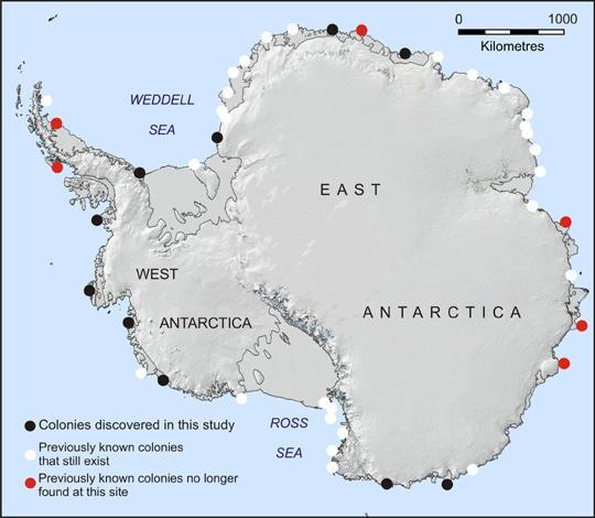 Locate penguins through traces of bird droppings observed from satellites