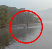 Loch Ness lake monster suddenly appeared in England?
