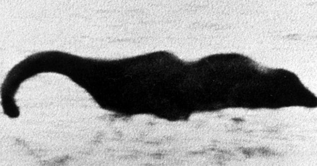 Loch Ness Monster can be a giant eel