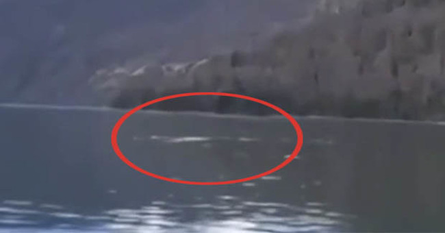 Loch Ness monster monster appears in China?