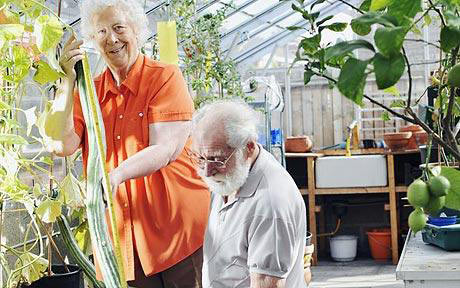 Long cucumber record