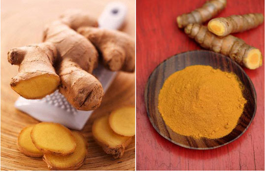 Longevity with golden turmeric