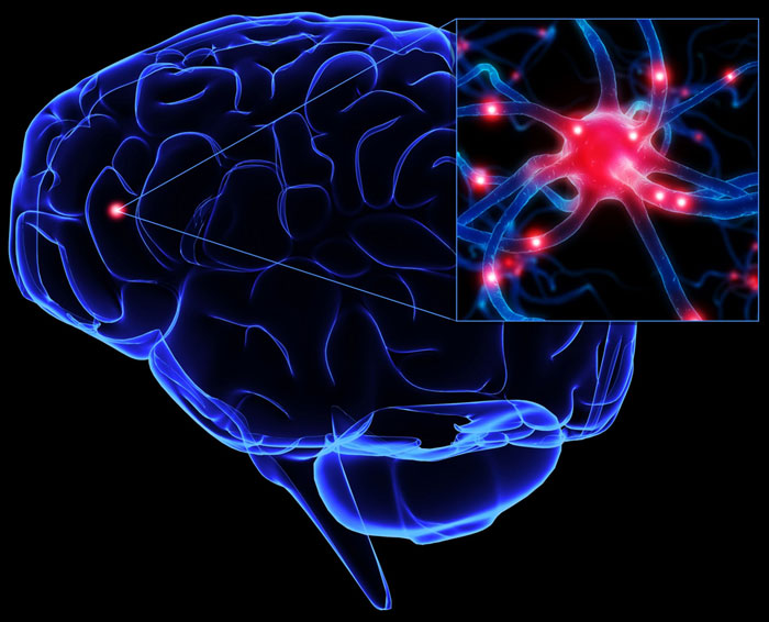'Look' brain catches cheating