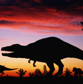 Looking for the cause of extinction of dinosaurs