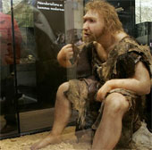 Looking for the solution to the disappearance of the ancient Neanderthal