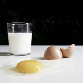Loss of mammalian egg yolk gene and source of lactation and placental formation