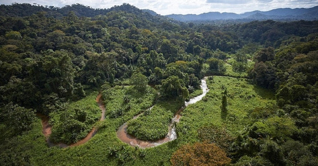 Lost city 500 years containing parasites that eat human faces