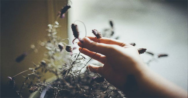 Love so much, don't touch the tree, because they really don't like it