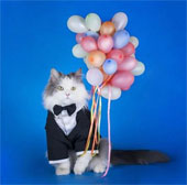Lovely animal photos like humans