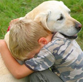 Loving way of animals