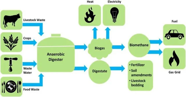 Low-carbon biological materials: Many environmentally friendly