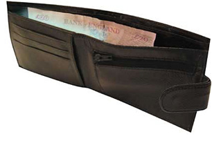 Luminous wallet