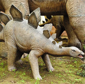 Lying mating mate of thorny dinosaurs