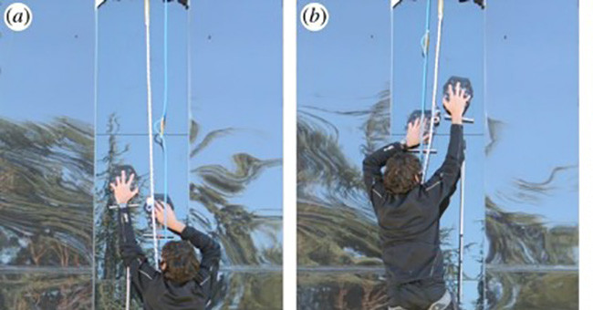 Made gloves help people climb the vertical glass wall