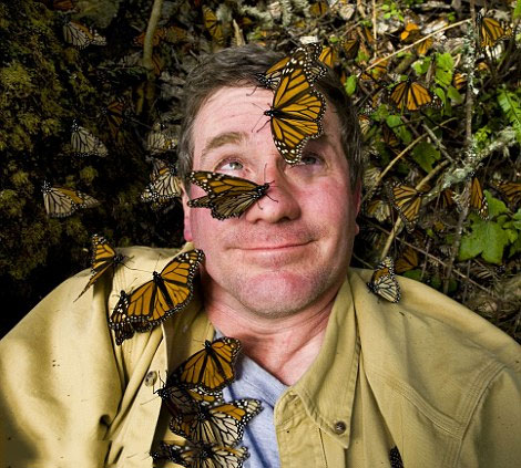 Magic king butterfly valley in America