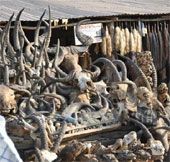 Magic spells market in Africa