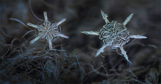 Magical beautiful snowflakes