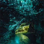 Magical fireflies cave