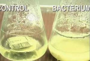 Major advances in biofuel technology: Garbage today, Ethanol tomorrow