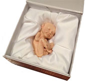 Make fetus with a 3D printer