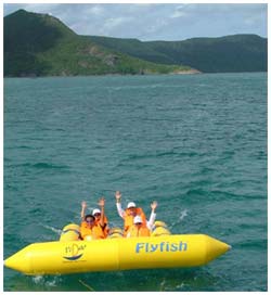 Making wind power project for Con Dao