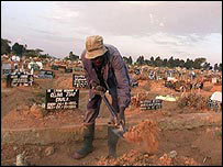 Malaria increases the spread of Aids