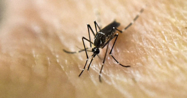 Malaysia confirmed the first Zika case
