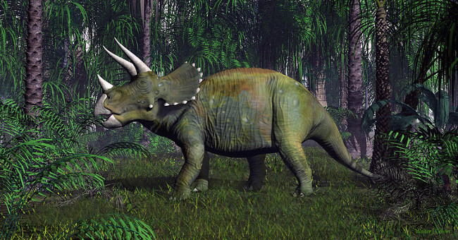 Mammals are more likely to survive in extreme conditions