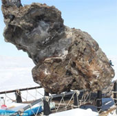 Mammoths can be 'revived'