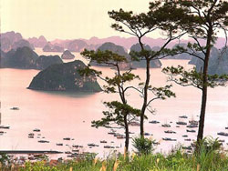 Managing and protecting Bai Tu Long National Park
