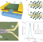 Manufacture of flexible, semi-transparent plastic cells from ultra-thin materials
