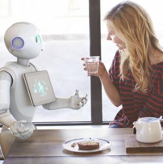 Manufacturers prohibit customers from sex with the robot