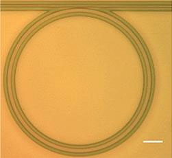 Manufacturing equipment to convert laser light into frequency signals