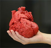 Manufacturing heart thanks to 3D printing technology