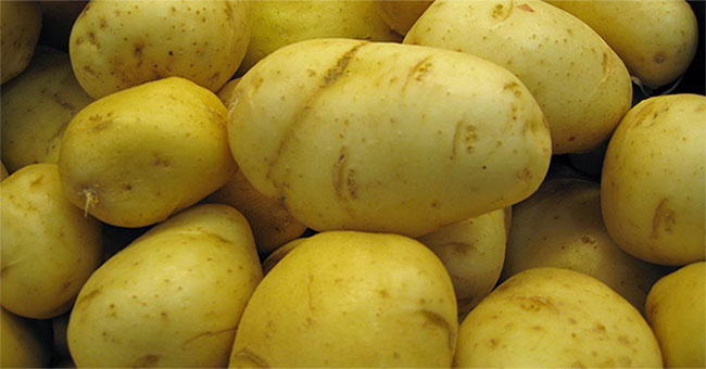 Manufacturing plastic from potatoes