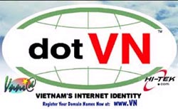 Many big banks lost their domain name .vn