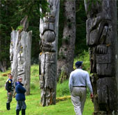 Many giant trees in Gwaii Haanas National Park