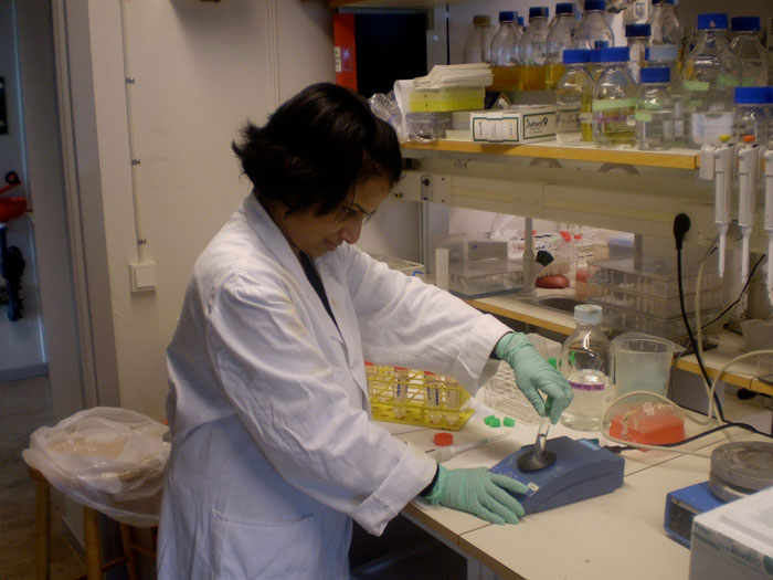 Many new studies at biotechnology conferences