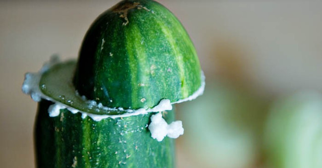 Many people cut the cucumbers so well and know why everyone will follow them