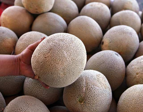 Many people died from eating cantaloupe