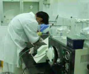 Many studies on avian influenza vaccines