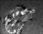 Many unexpected findings from comet dust