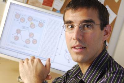 Many viruses together determine the fate of bacterial cells