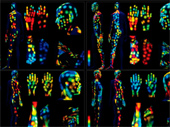 Map reveals the location of bacteria and chemicals on the human body