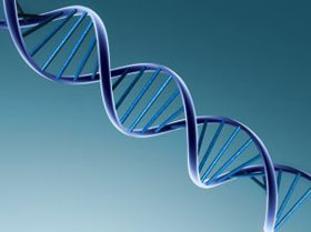 Mapping the first gene of 5hmC molecule in human embryonic stem cells