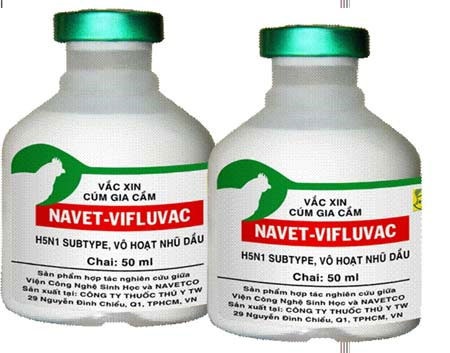 March 2012: Launching H5N1 vaccine for poultry