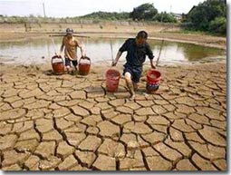 MARD acts to respond to climate change
