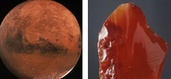 Mars jewel contains fossils of alien creatures?