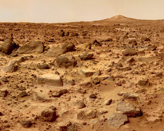 Mars surface exists organic matter