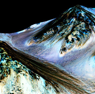 Mars water can decipher the origin of Earth's life